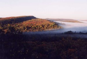 Superior National Forest, which Leopold visited in 1925.